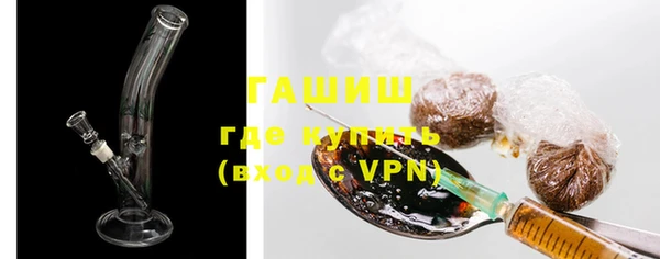 индика Новодвинск