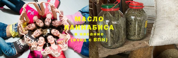 ECSTASY Богородицк