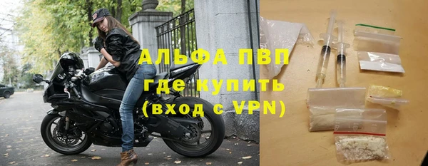 spice Богородск