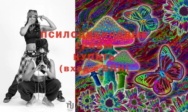 хмурый Богданович