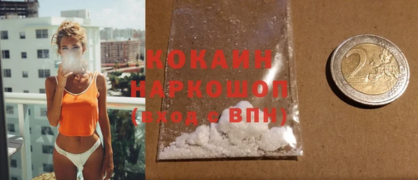 прущие грибы Новозыбков
