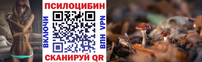 blacksprut как войти  как найти наркотики  Благодарный  Псилоцибиновые грибы мухоморы 